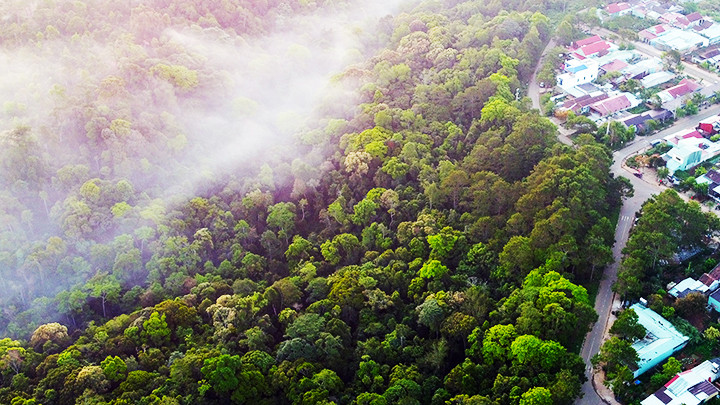 Мангден стал популярным местом для туристов благодаря его круглогодичному прохладному климату.