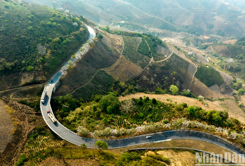 В эти дни горные дороги заполнены автомобилями, привозящими желающих полюбоваться цветами северо-запада. В эти дни горные дороги заполнены автомобилями, привозящими желающих полюбоваться цветами северо-запада.
