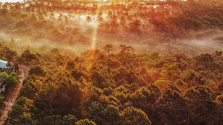 Первые лучи света нового дня.