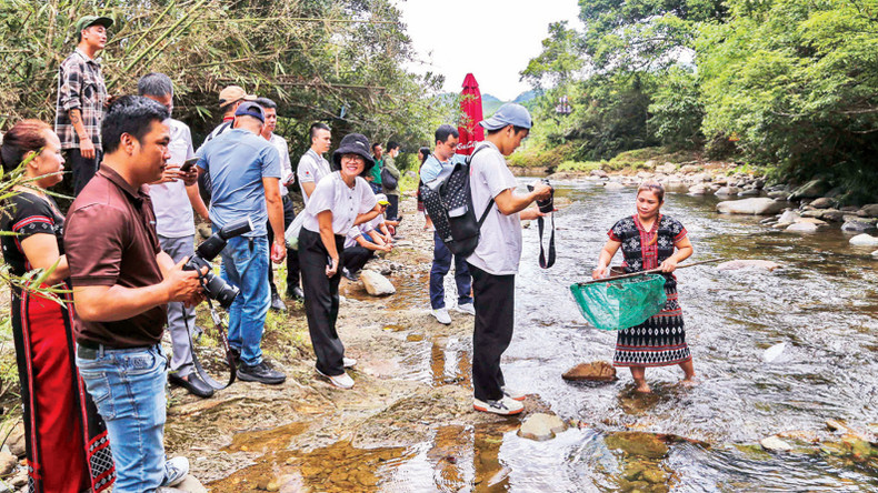 Туристы участвуют в ловле рыбы в ручье вместе с местными жителями в уезде Алыой.