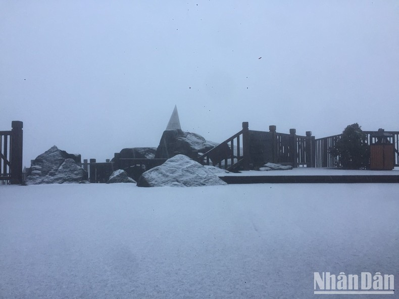 Спустя совсем короткое время снег усилился и покрыл район вершины Фансипана белым покрывалом.