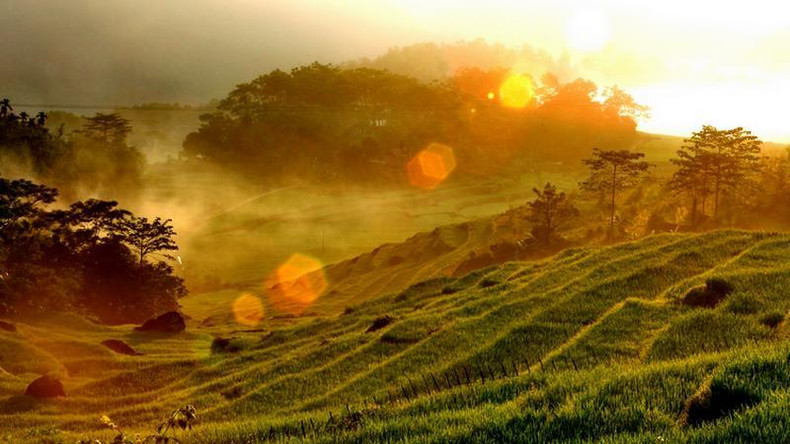 Красота террасных полей. Фото: dulich24.com.vn Красота террасных полей. Фото: dulich24.com.vn