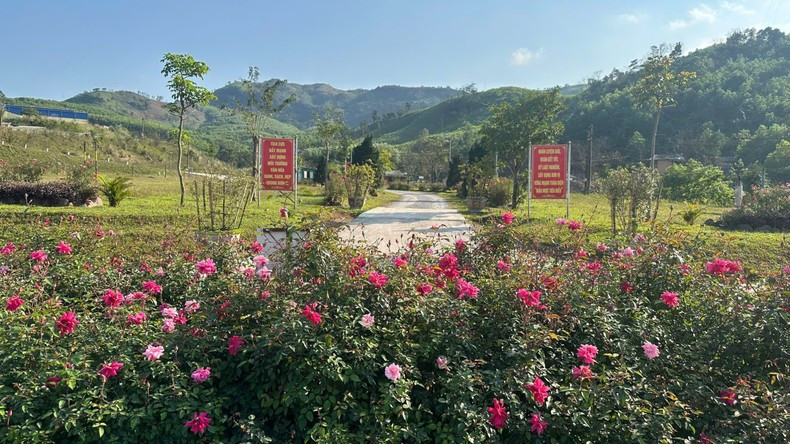 Розы на пограничной заставе Тяло.