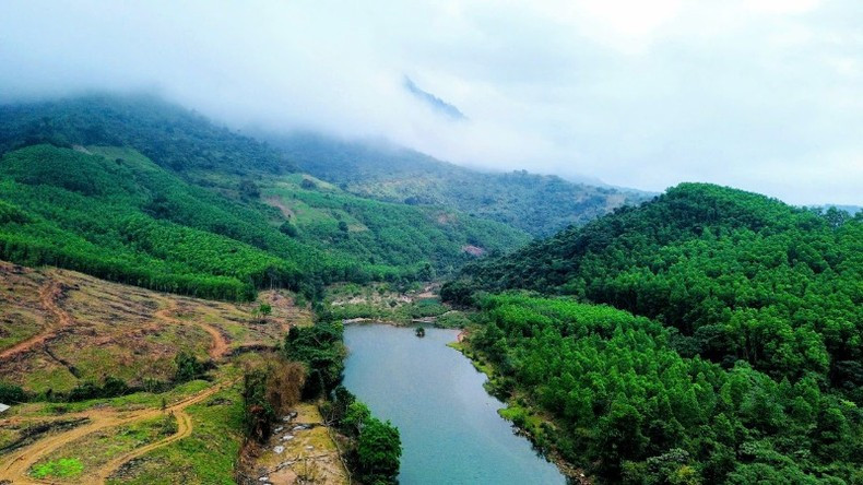 Горы и леса дышат жизнью весны.