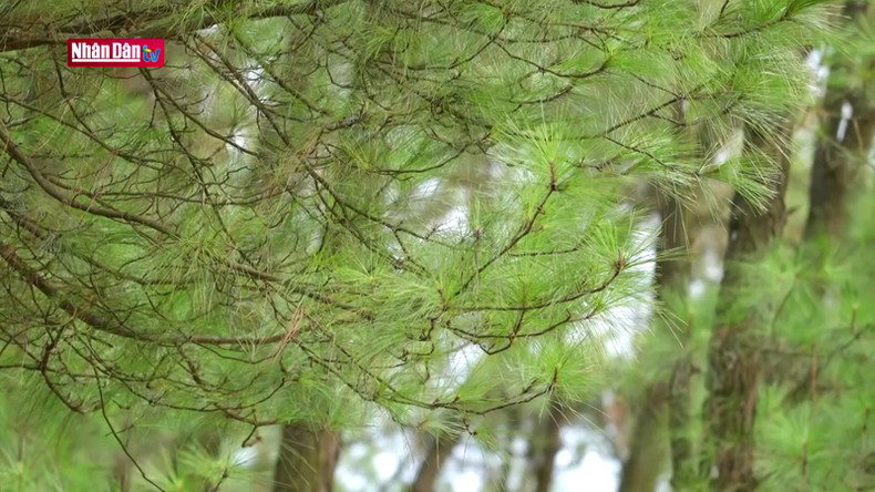 Озеро Чайтиеу можно посетить в четыре сезона. Озеро Чайтиеу можно посетить в четыре сезона.