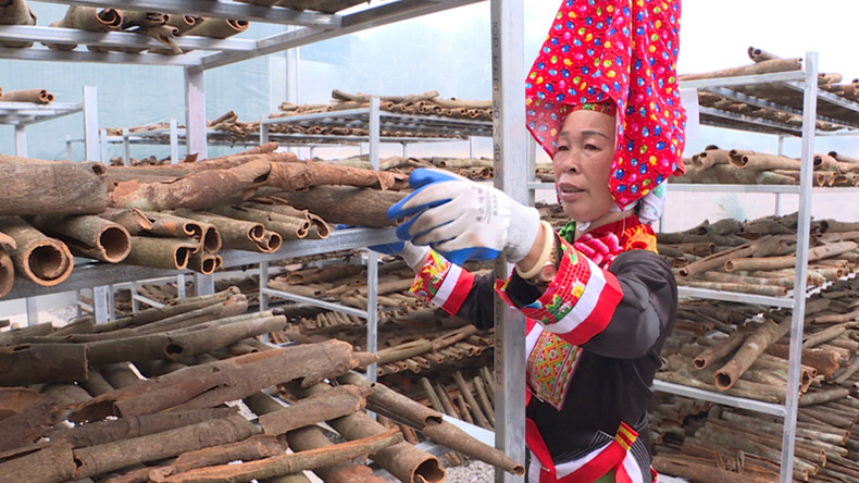 Много семей этнических меньшинств вырвались из бедности благодаря финансовой поддержке провинции. Много семей этнических меньшинств вырвались из бедности благодаря финансовой поддержке провинции.