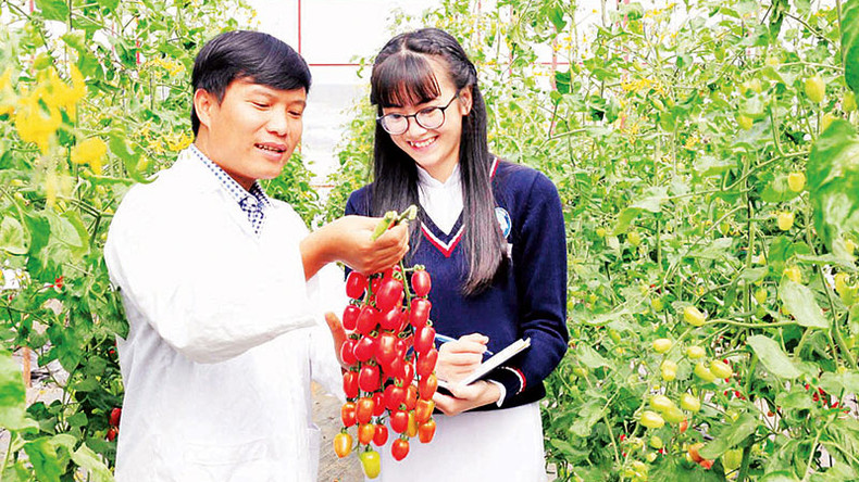 Во всей провинции насчитывается 768 брендов, сертифицированных под знаком «Далат – Чудесная кристаллизация из хорошей почвы». Во всей провинции насчитывается 768 брендов, сертифицированных под знаком «Далат – Чудесная кристаллизация из хорошей почвы».