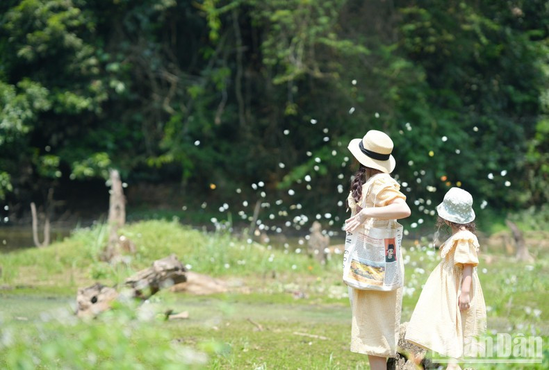 Каждый раз, когда здесь собираются бабочки, Национальный парк Кукфыонг встречает туристов со всех концов страны. Каждый раз, когда здесь собираются бабочки, Национальный парк Кукфыонг встречает туристов со всех концов страны.