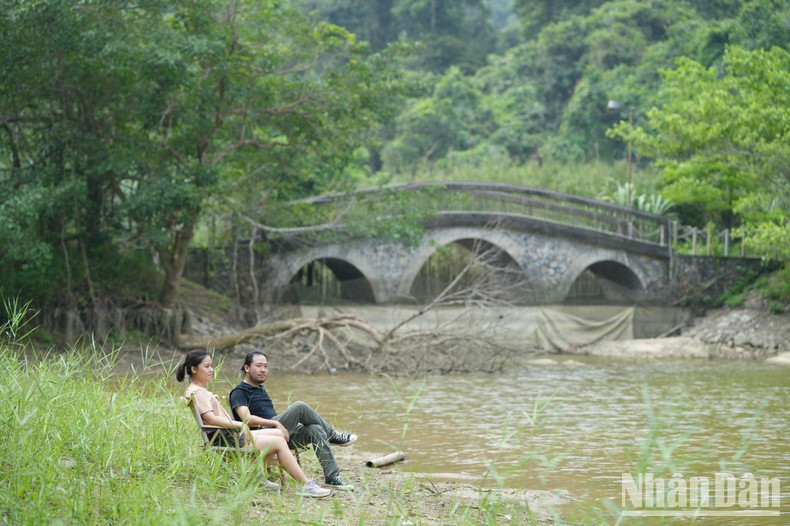 Посетители погружаются в природу, наблюдая за разноцветными бабочками. Посетители погружаются в природу, наблюдая за разноцветными бабочками.