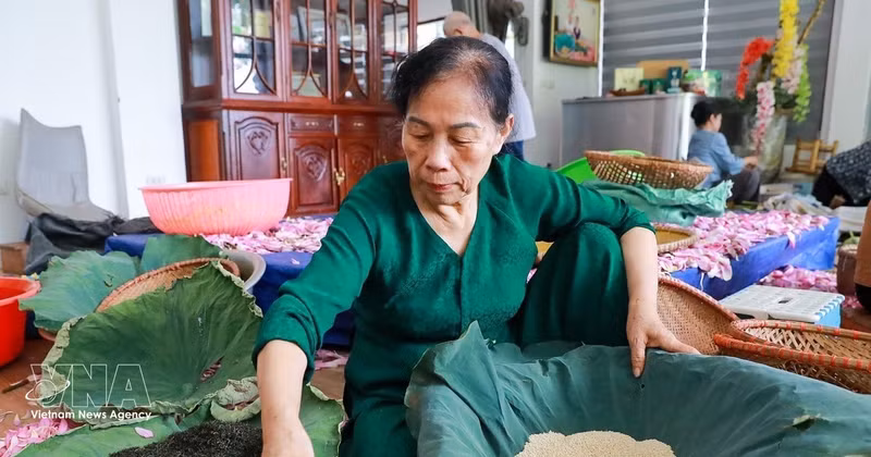 vnanet-03-tinh-hoa-nghe-uop-tra-sen-quang-an.jpg