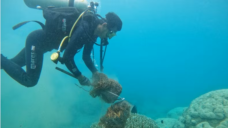 Сбор пластиковых отходов для защиты морской среды.