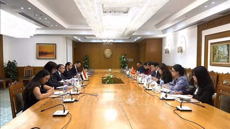 vna-potal-thu-truong-ngoai-giao-le-anh-tuan-tham-va-lam-viec-tai-ai-cap-stand-1.jpg