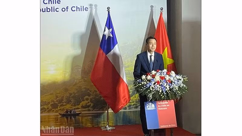 vn-chile1.jpg