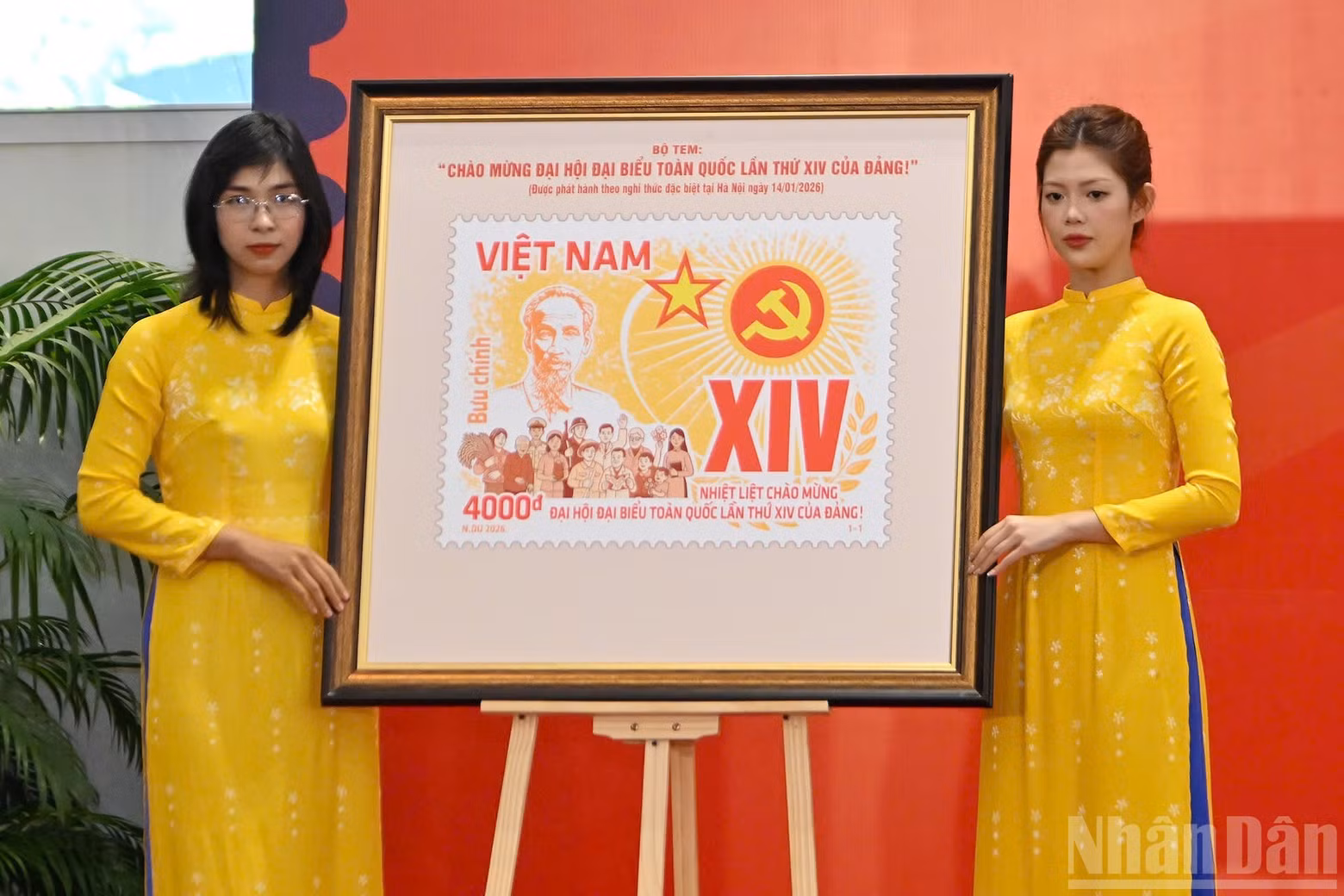 image-7.jpg