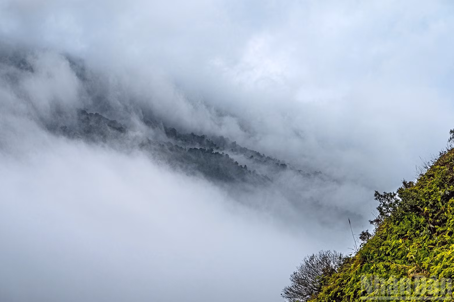 image9.jpg