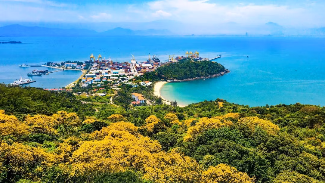Порт Дананг. Фото: Куанг Нгуен