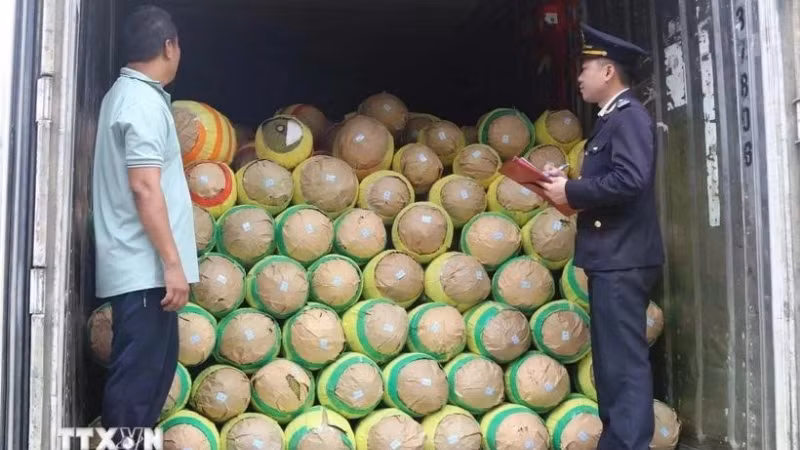 Сотрудник таможни проверяет сельскохозяйственную продукцию перед экспортом на пограничном пункте Хыунги в провинции Лангшон.
