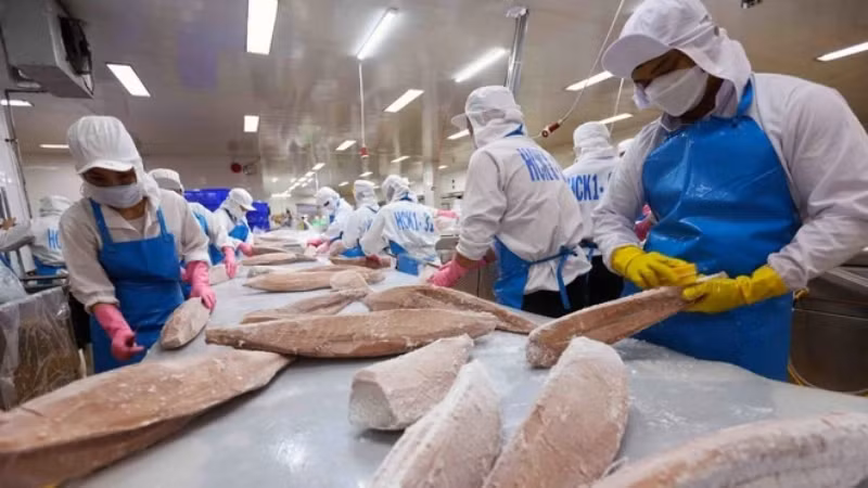 Вьетнам занял четвертое место на рынке морепродуктов Сингапура. Фото: ВИA