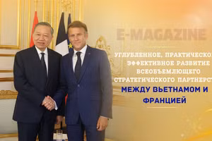 Углубленное, практическое и эффективное развитие всеобъемлющего стратегического партнерства между Вьетнамом и Францией