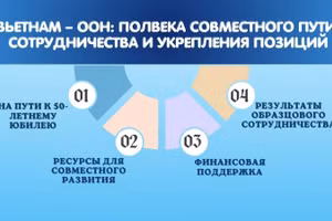 Вьетнам – ООН: полвека совместного пути, сотрудничества и укрепления позиций