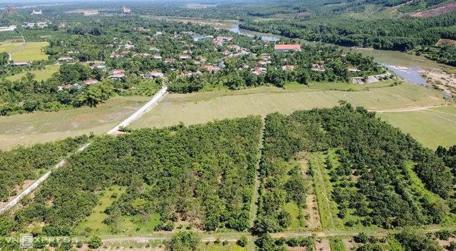 Сады помело в общине Хыонгчать (провинция Хатинь).