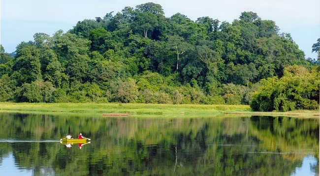 Национальный парк Каттьен. Фото: timeoutvietnam.vn