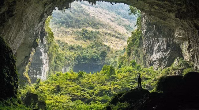 Фото: thoidai.com.vn