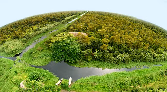 Национальный парк Мыса Камау омывается морем с трех сторон. Фото: dacsanmuicamau.com