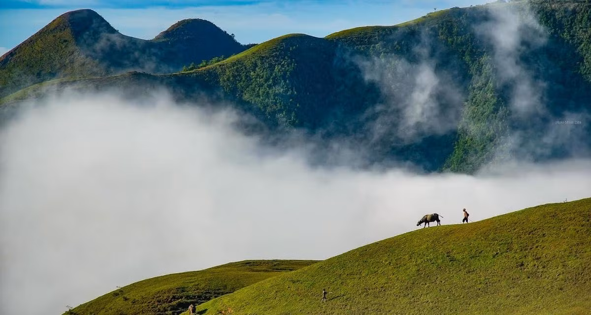 Красота на вершине горы.