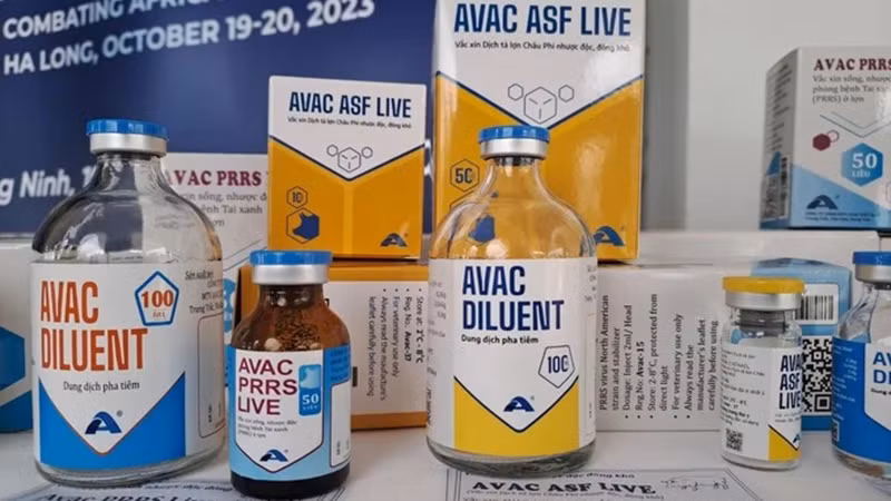Вакцина «AVAC ASF LIVE» Вакцина «AVAC ASF LIVE»