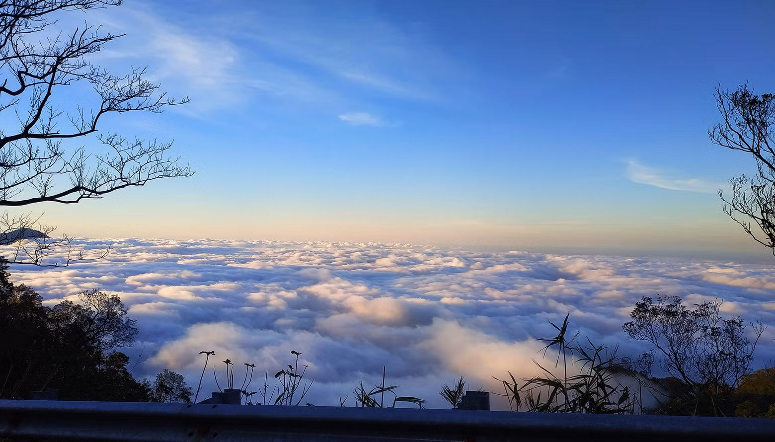 Это идеальное место для тех, кто любит охотиться за облаками. Фото: bachmapark.com.vn