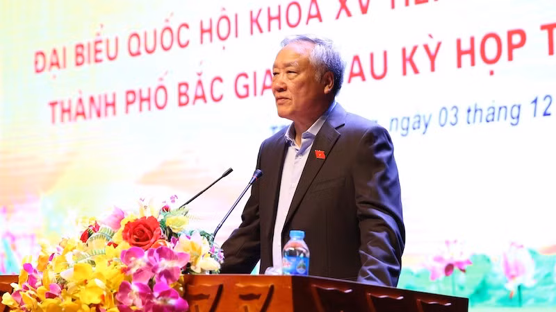 Постоянный вице-премьер Нгуен Хоа Бинь выступает на встрече. Фото: VGP