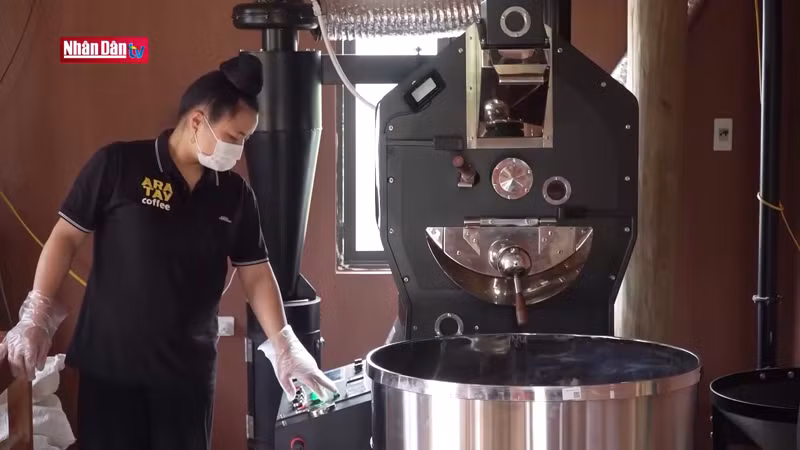 Рождение кооператива Ara-Tay Coffee осуществило мечту жителей земли Тьиенгтьунг.
